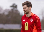 关于威尔士小胜芬兰仍需拼搏争取欧锦赛资格的信息